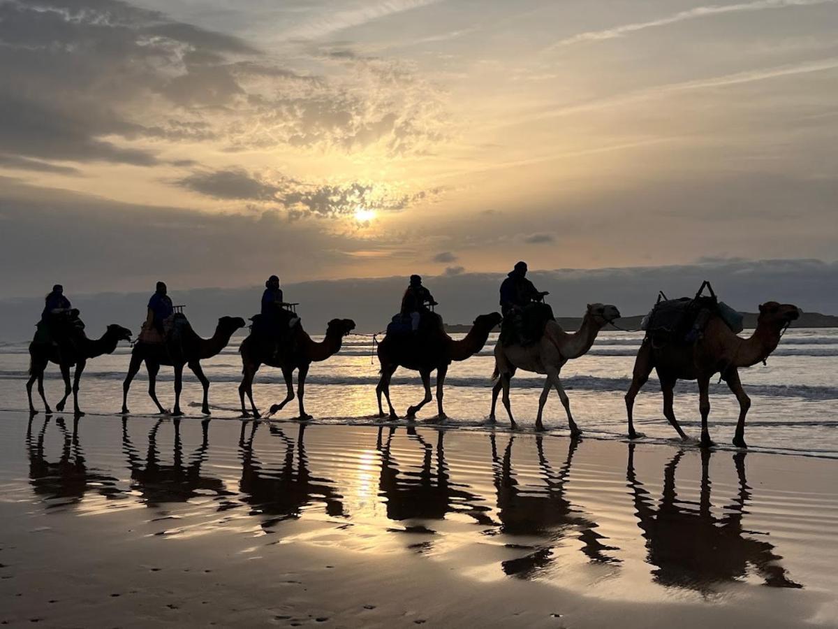 بيت شباب Surf Housemaroc الصويرة المظهر الخارجي الصورة
