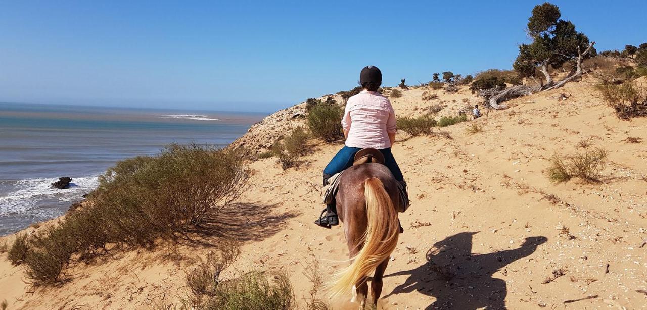 بيت شباب Surf Housemaroc الصويرة المظهر الخارجي الصورة